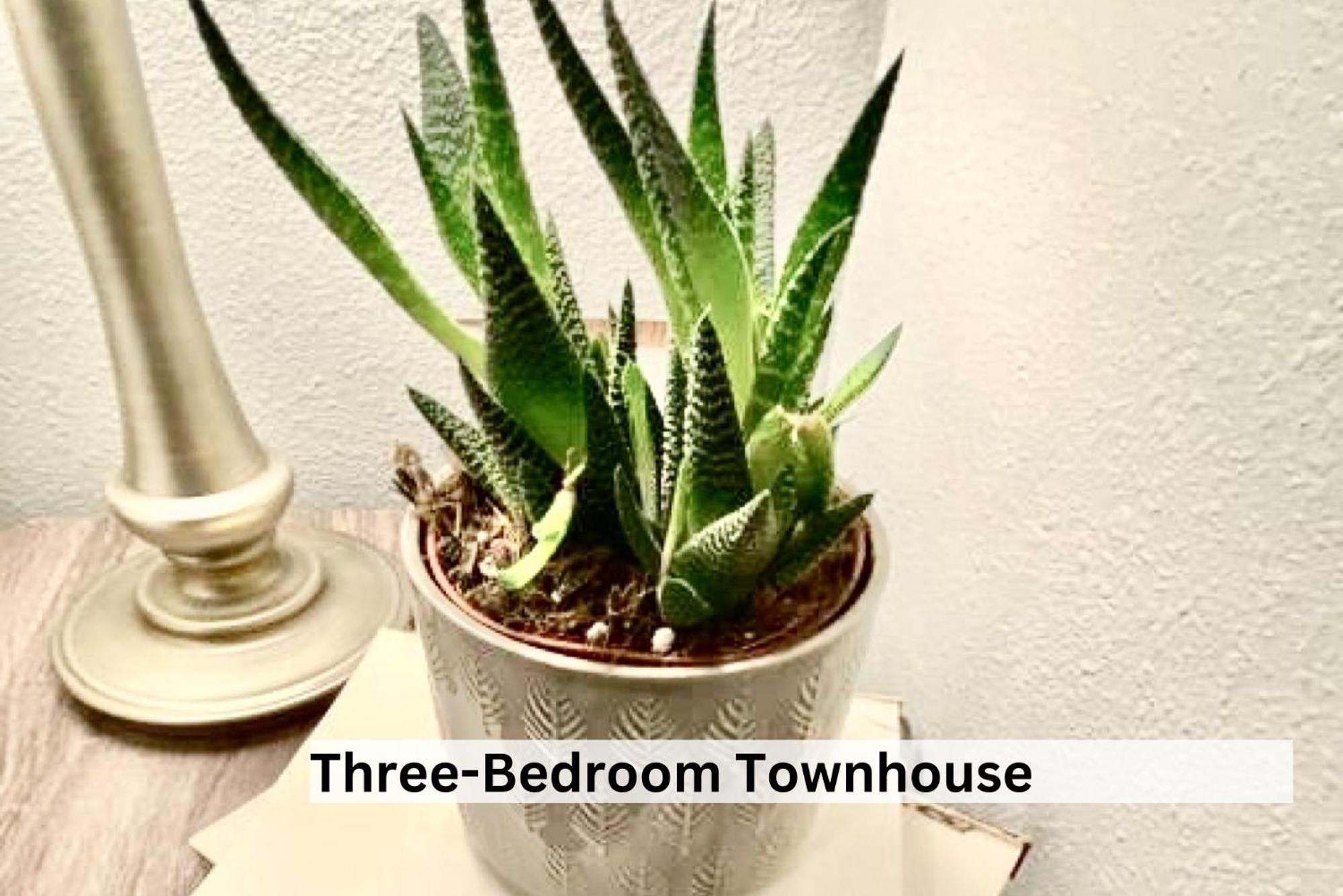 Boutique Apartment In Historic Downtown Albany Eksteriør bilde